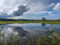 Überschwemmte Wiese bei Prien-Harras mit Wolkenfinger